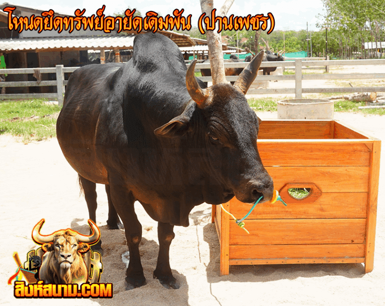 โหนดยึดทรัพย์อายัดเดิมพัน (ปานเพชร)