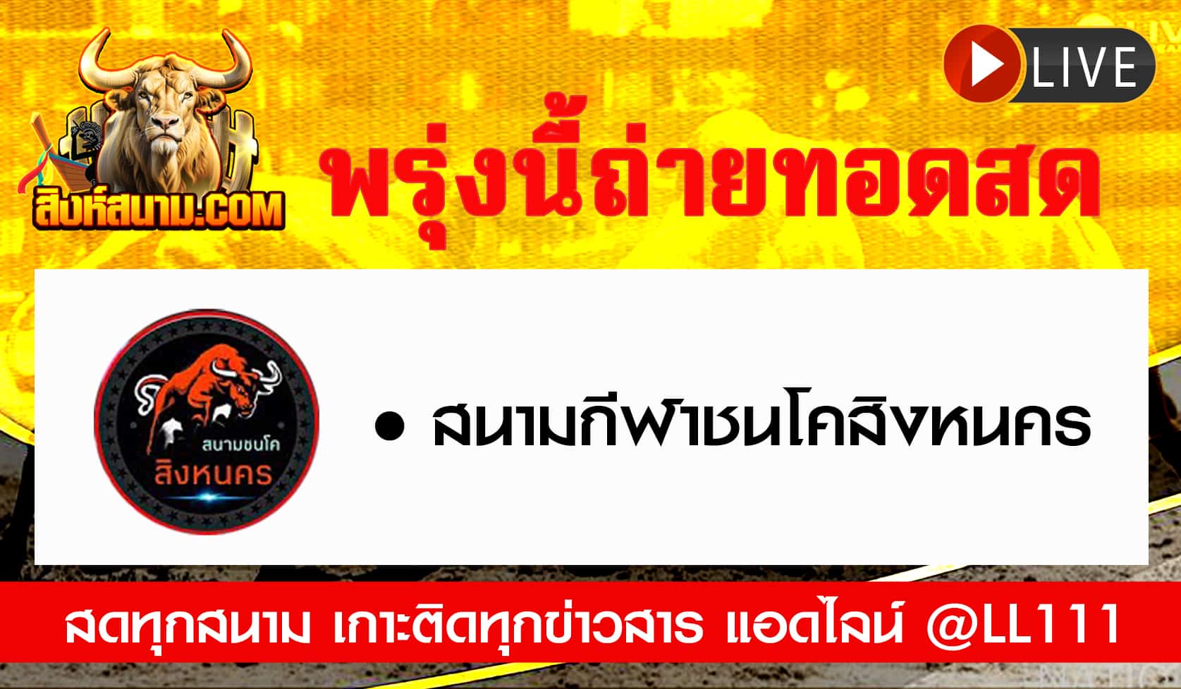 ถ่ายทอดสดวัว ถ่ายทอดสดวัว