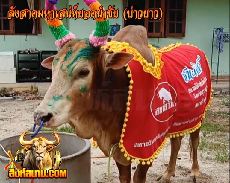 ลังสาดมหาเสน่ห์ยอดนำชัย (บ่าวยาว)_0