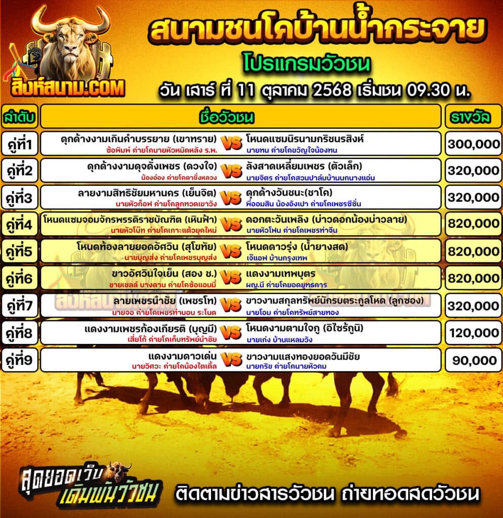 โปรแกรมน้ำกระจาย