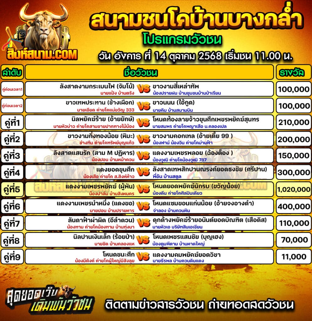 โปรแกรมบางกล่ำ