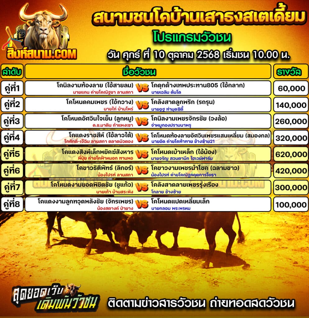 โปรแกรมสนามเสาธง