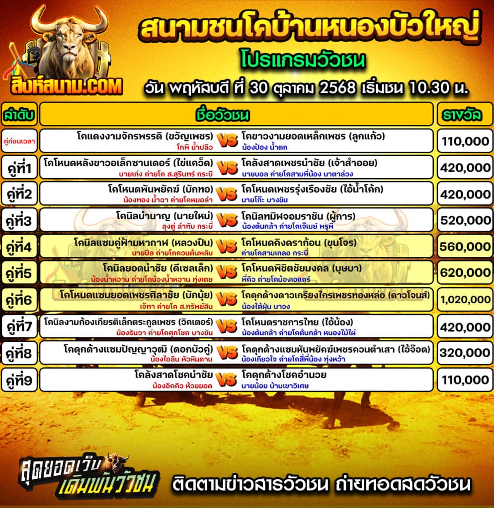 โปรแกรมหนองบัวใหญ่