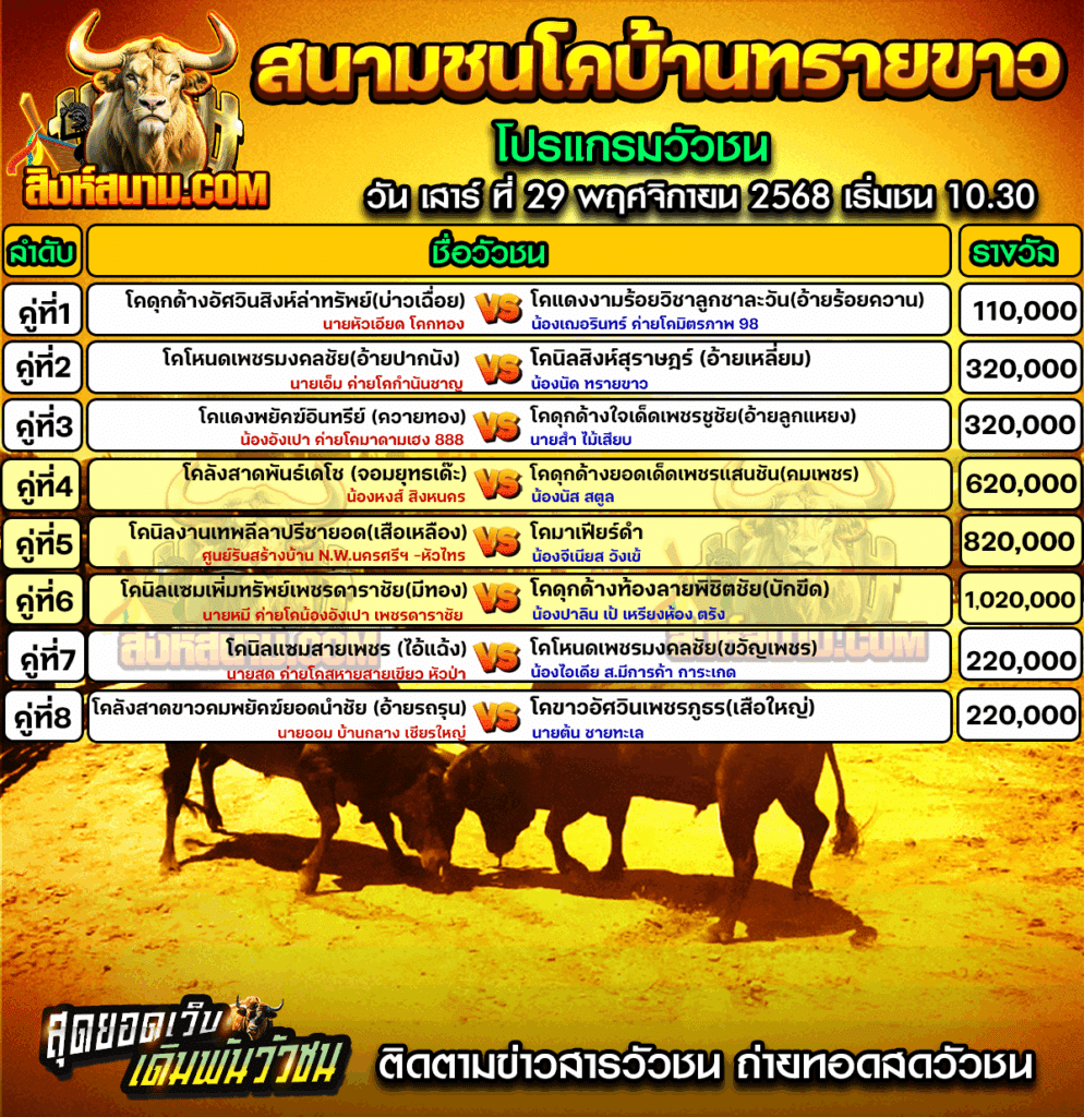 29โปรแกรมบ้านทรายขาว