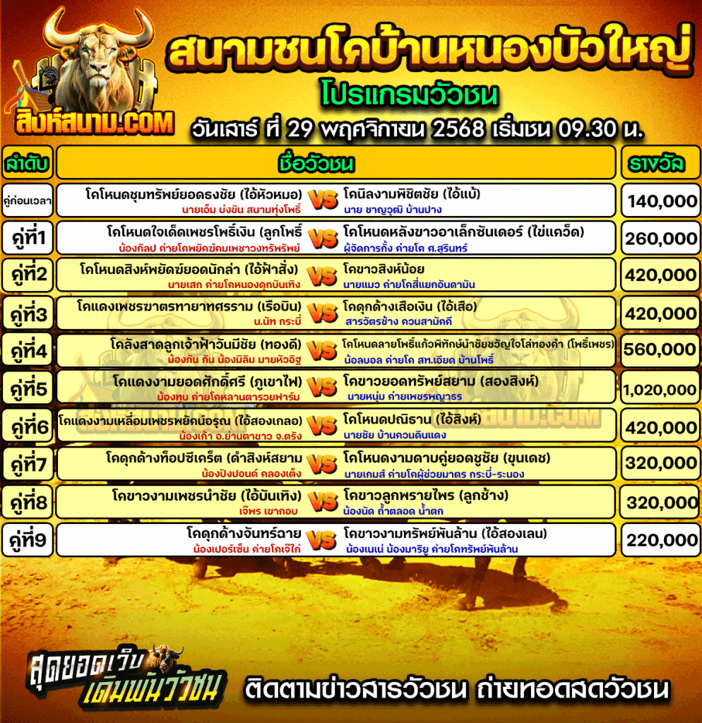 29โปรแกรมบ้านหนองบัวใหญ่