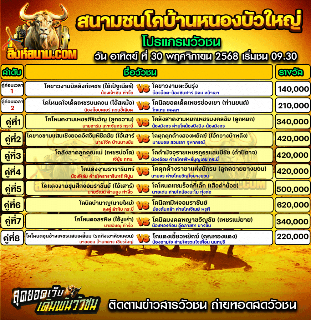 โปรแกรมวัวชนบ้านหนองบัวใหญ่