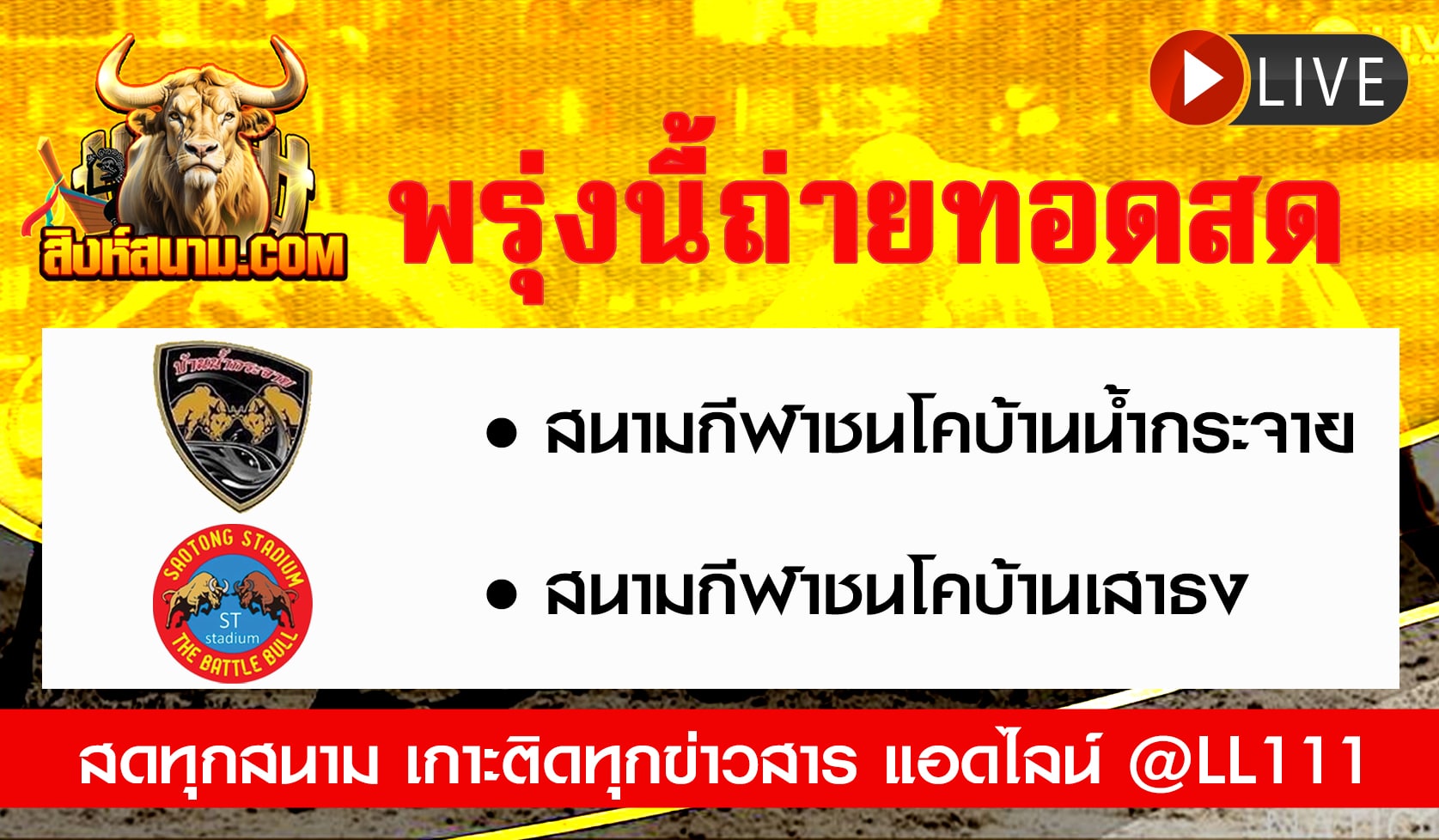 ถ่ายทอดสดวัว