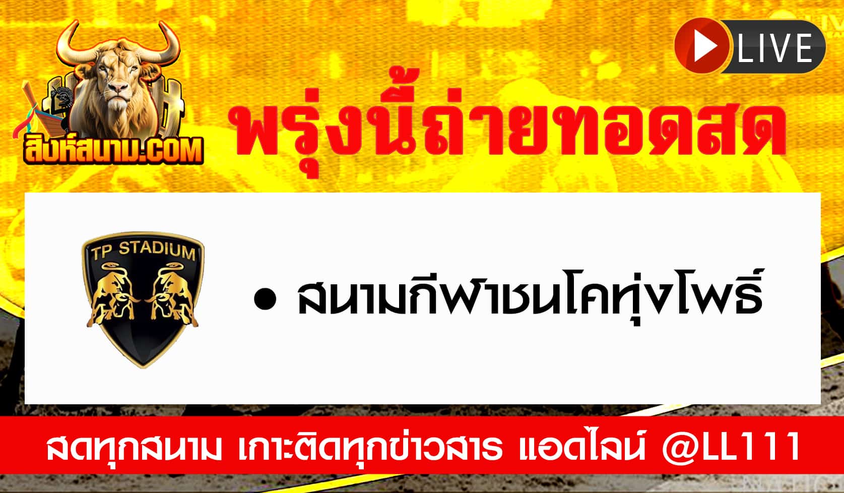 ถ่ายทอดสดวัว