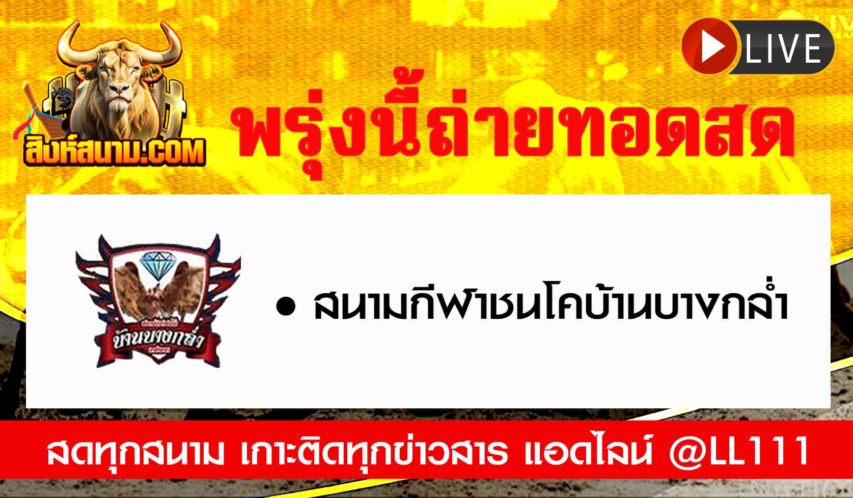 ถ่ายทอดสดวัว