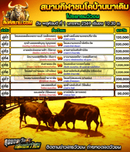 โปรแกรมวัวชน สนามกีฬาชนโคบ้านนาเดิม