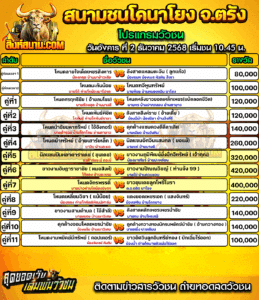 โปรแกรมวัวชน สนามกีฬาชนโคนาโยง