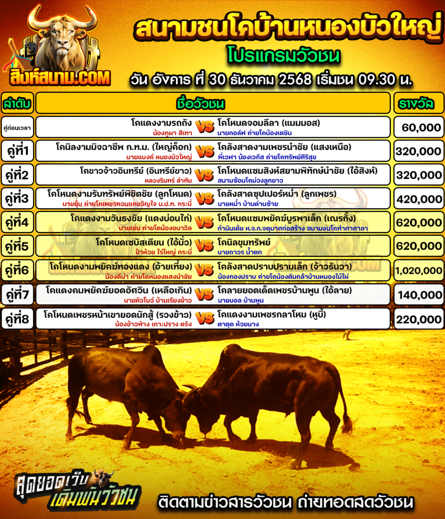 โปรแกรมบ้านหนองบัวใหญ่