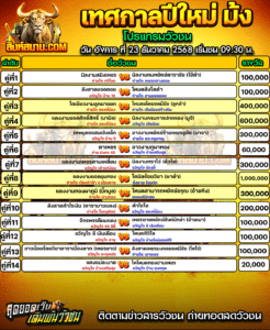 โปรแกรมวัวชน สนามชนโคชั่วคราว5-6 เทศกาลปีใหม่ ม้ง