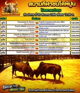 โปรแกรมวัวชน สนามกีฬาชนโคพิปูน