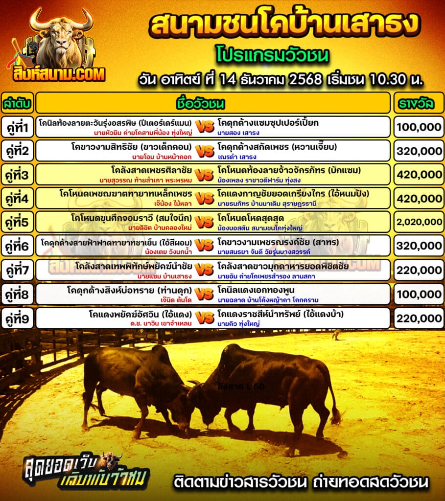 โปรแกรมเสาธง