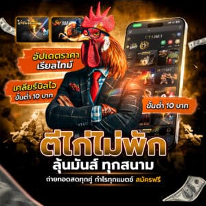 ถ่ายทอดสดไก่ชน