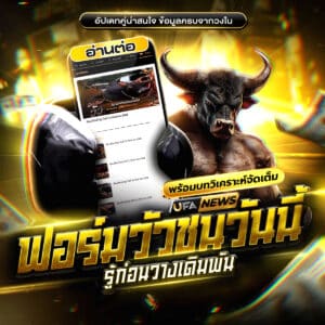 ข้อมูลวัวชน