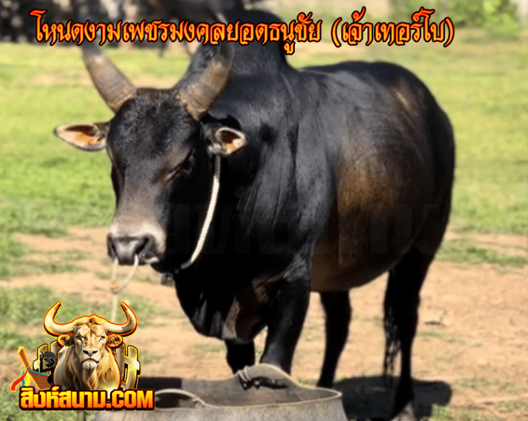 โคโหนดงามเพชรมงคลยอดธนู