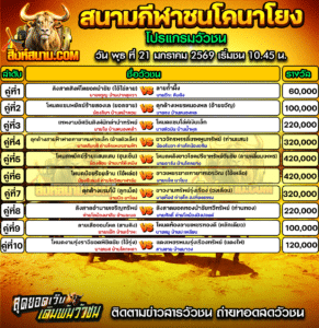 โปรแกรมวัวชน สนามกีฬาชนโคนาโยง