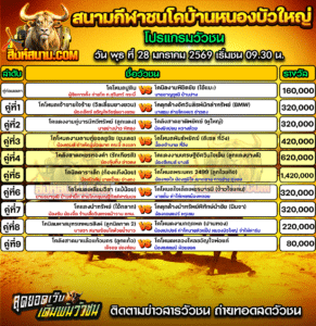 โปรแกรมวัวชน สนามกีฬาชนโคบ้านหนองบัวใหญ่