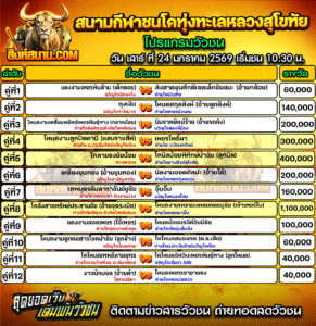 โปรแกรมวัวชน สนามกีฬาชนโคทุ่งทะเลหลวงสุโขทัย