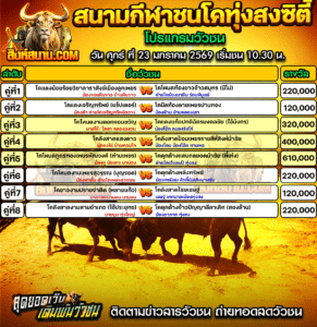 โปรแกรมวัวชน สนามกีฬาชนโคทุ่งสงซิตี้