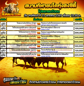 โปรแกรมวัวชน