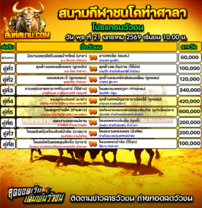 โปรแกรมวัวชน สนามชนโคท่าศาลา