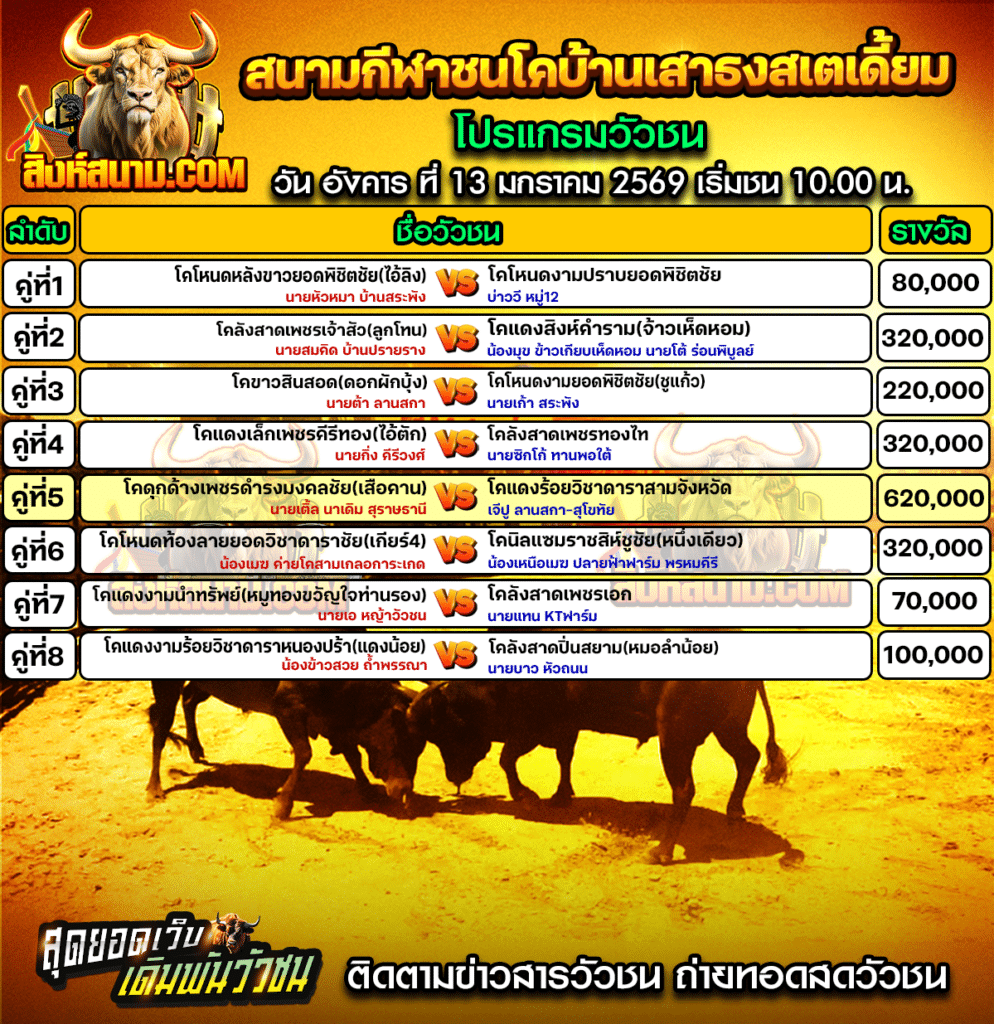 โปรแกรมบ้านเสาธง13