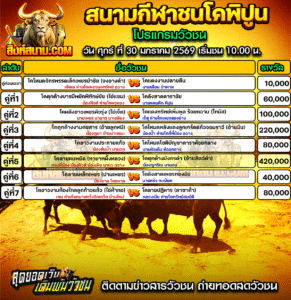 โปรแกรมวัวชน สนามกีฬาชนโคพิปูน