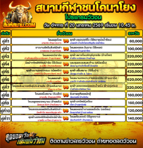 โปรแกรมวัวชน