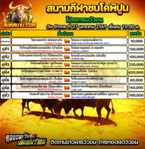 โปแกรมวัวชน สนามกีฬาชนโคพิปูน