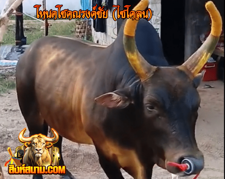โหนดโชคณรงค์ชัย (ไชโคลน)