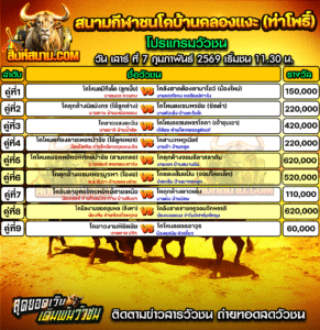 โปรแกรมวัวชน สนามกีฬาชนโคบ้านคลองแงะ (ท่าโพธิ์)