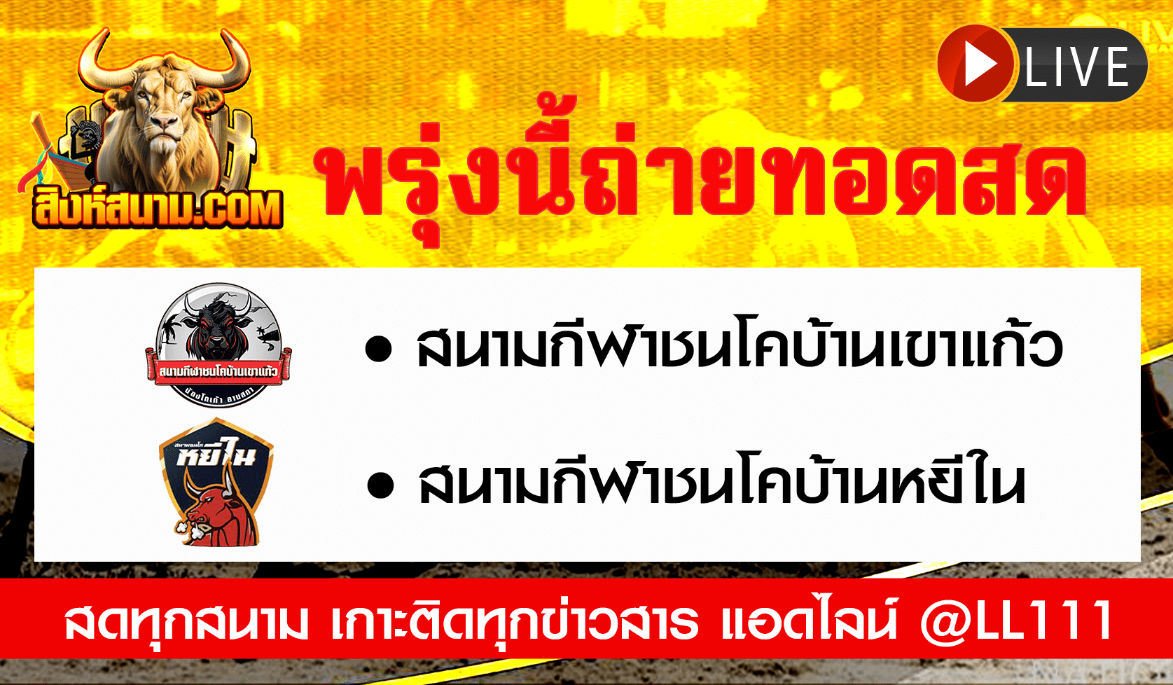 ถ่ายทอดสดวัว