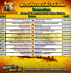 โปรแกรมวัวชน สนามกีฬาชนโคบ้านบ่อล้อ