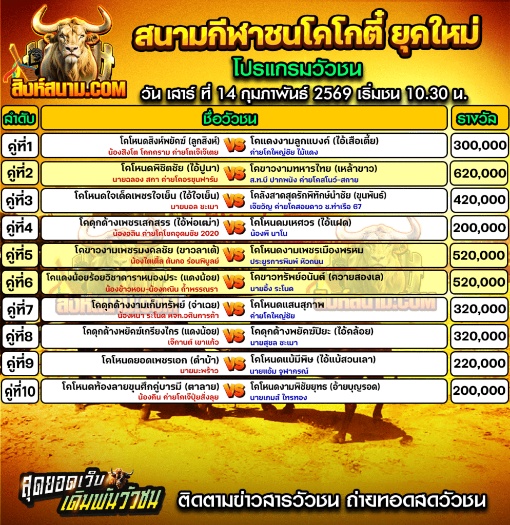 สนามโกตี๋ยุคใหม่14