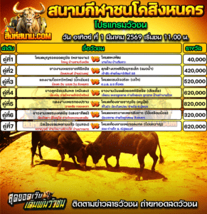 โปรแกรมวัวชน สนามกีฬาชนโคสิงหนคร
