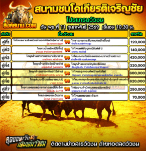โปรแกรมวัวชน สนามกีฬาชนโคเกียรติเจริญชัย