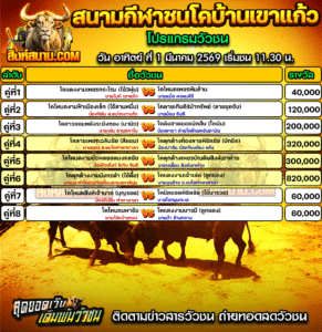 โปรแกรมวัวชน สนามกีฬาชนโคบ้านเขาแก้ว