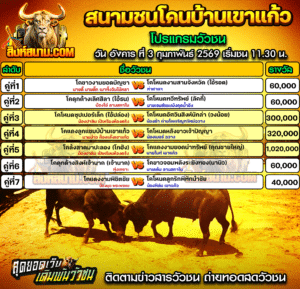 โปรแกรมวัวชน สนามกีฬาชนโคบ้านเขาแก้ว