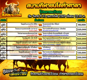 โปรแกรมวัวชน สนามกีฬาชนโคท่าศาลา
