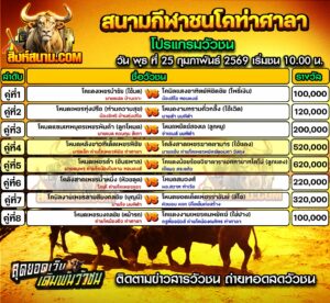 โปรแกรมวัวชน สนามกีฬาชนโคท่าศาลา