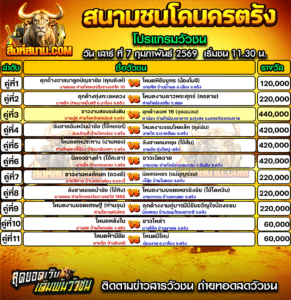 โปรแกรมวัวชน สนามกีฬาชนโคนครตรัง