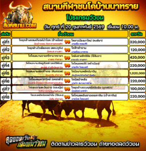 โปรแกรมวัวชน สนามกีฬาชนโคบ้านนาทราย