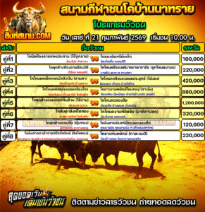 โปรแกรมวัวชน สนามกีฬาชนโคบ้านนาทราย