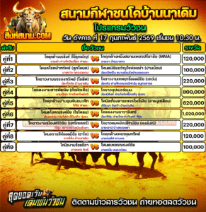 โปรแกรมวัวชน สนามกีฬาชนโคบ้านนาเดิม