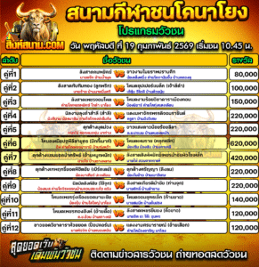 โปรแกรมวัวชน สนามกีฬาชนโคนาโยง