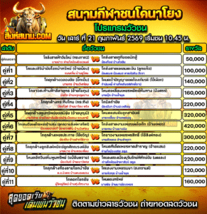 โปรแกรมวัวชน สนามกีฬาชนโคนาโยง
