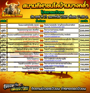 โปรแกรมวัวชน สนามกีฬาชนโคบ้านบางกล่ำ
